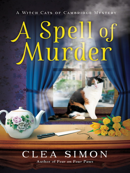 Cover image for A Spell of Murder